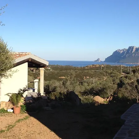 Villette Tavolara Holiday home Murta Maria